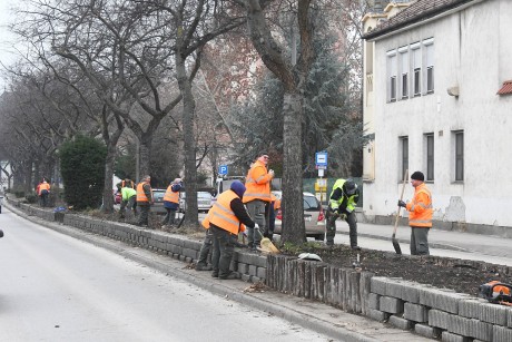 Gondosan összeválogatott évelő növényeket ültetnek